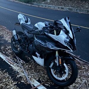 New UGG Tazz Tasman Sandals Women Slipper